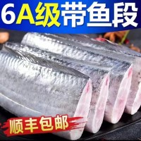 新鮮帶魚段中段鮮活冷凍小眼油帶魚刀魚整箱海鮮水產鮮活順豐